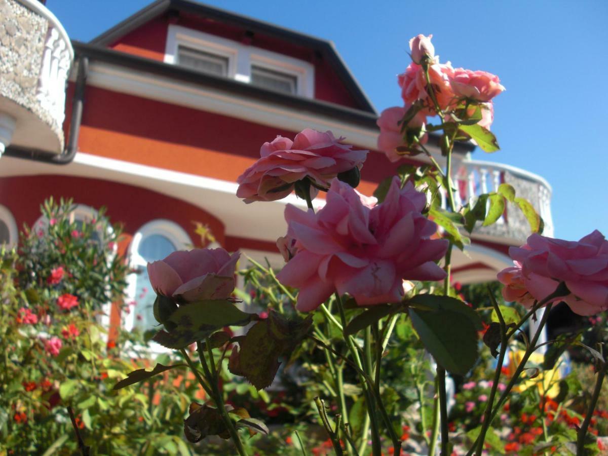 Apartma Jelka Novigrad (Istria) Exterior foto