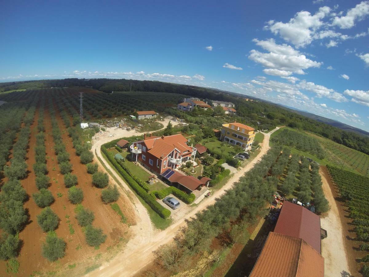 Apartma Jelka Novigrad (Istria) Exterior foto